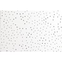 Thermatex Star VT24 Ceiling Tile 600 x 600 x 15mm Box of 14