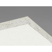 Ecophon Hygiene Performance AT24 Ceiling Tile 600x600x20mm Box of 28