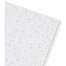 Ecomin Planet SK Ceiling Tile 1200 x 600 x 13mm Box of 12